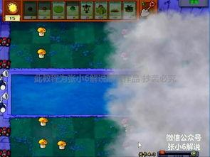 僵33在线观看,在线观看，揭秘神秘僵尸世界的惊悚之旅