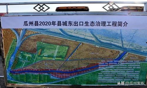 瓜州县今日猪价