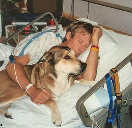 狗和人的视频,温馨情感共鸣