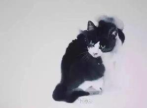 日本画猫的画家