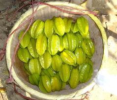 美人豆的图片大全,千姿百态的豆类之美