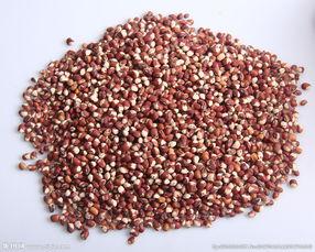 美人豆的图片大全,千姿百态的豆类之美