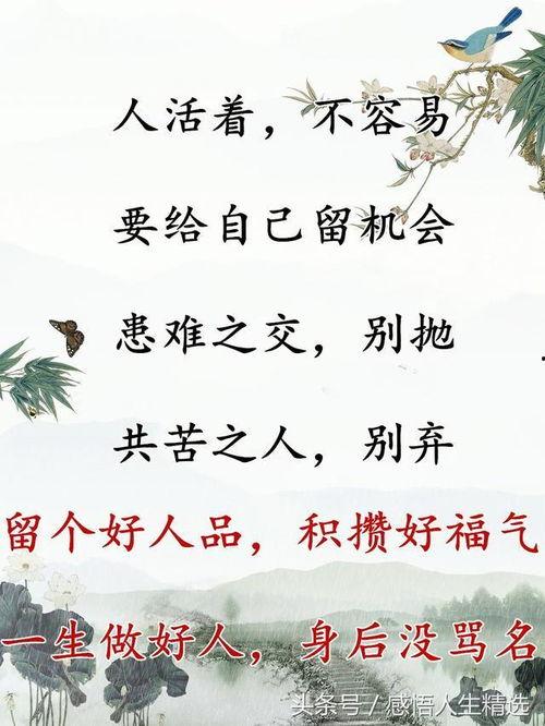 做人真诚图片大全,做人真诚图片大全启示录