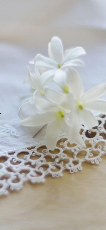 纯洁图片,探索纯洁图片的无限魅力