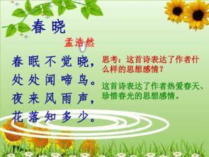 春晓古诗视频,感受万物复苏的诗意画卷