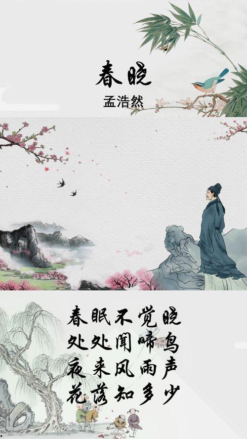 春晓古诗视频,感受万物复苏的诗意画卷
