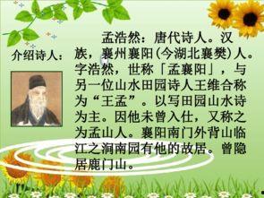 春晓古诗视频,感受万物复苏的诗意画卷